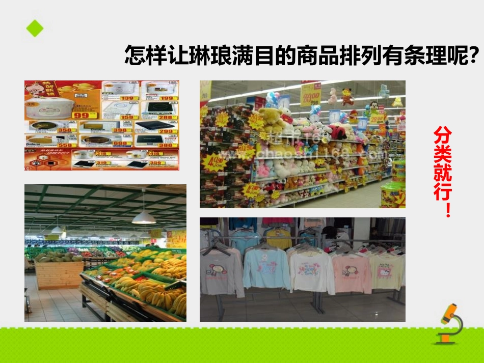 《生物的分类》PPT优质课件[苏教版八年级生物上册]_第2页