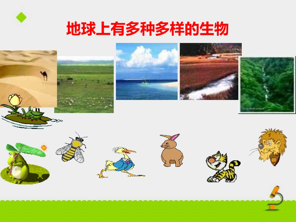 《生物多样性》PPT课件[苏教版八年级生物上册]_第2页