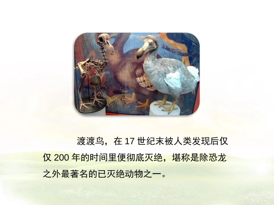 《保护生物多样性的艰巨使命》PPT教学课件[苏教版八年级生物]_第2页