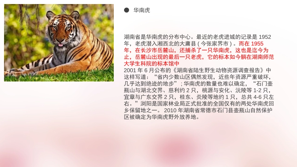 《保护生物多样性的艰巨使命》PPT课件[苏教版八年级生物]_第3页