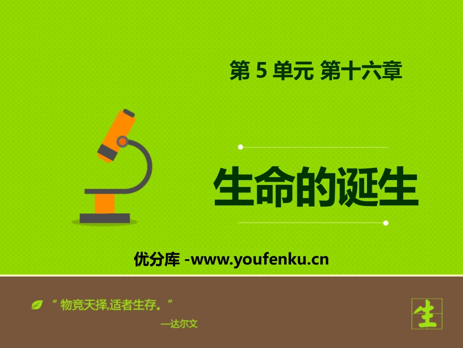 《生命的诞生》PPT教学课件[苏教版八年级生物上册]_第1页