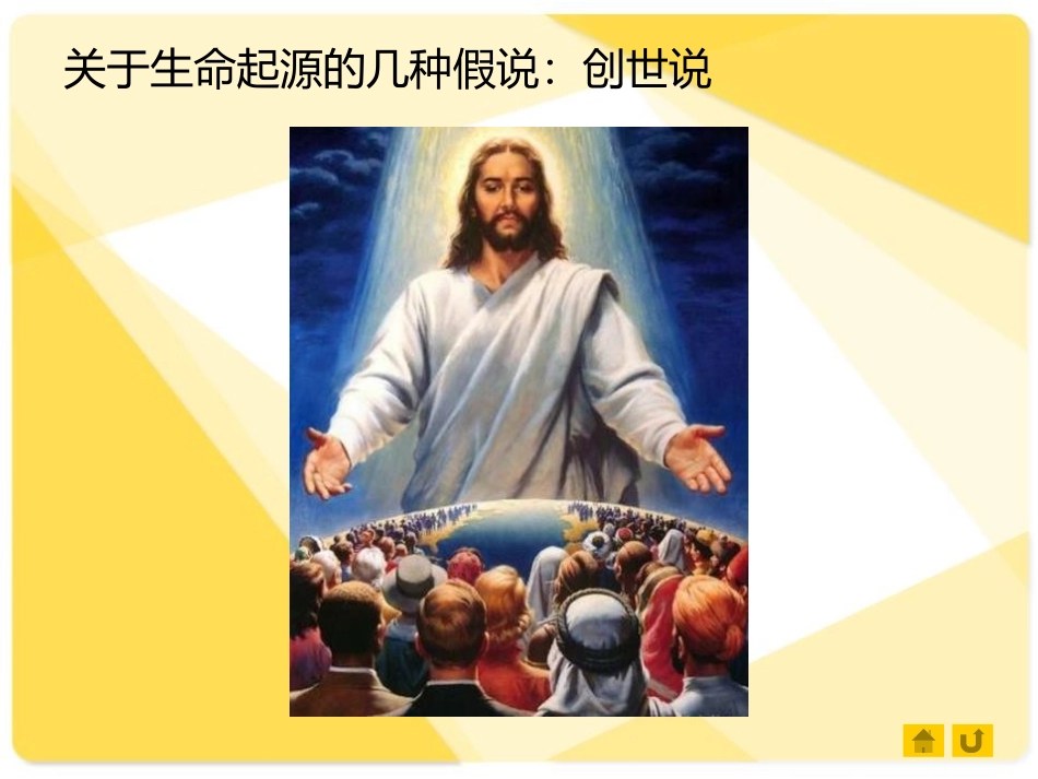 《生命的诞生》PPT课件[苏教版八年级生物上册]_第3页
