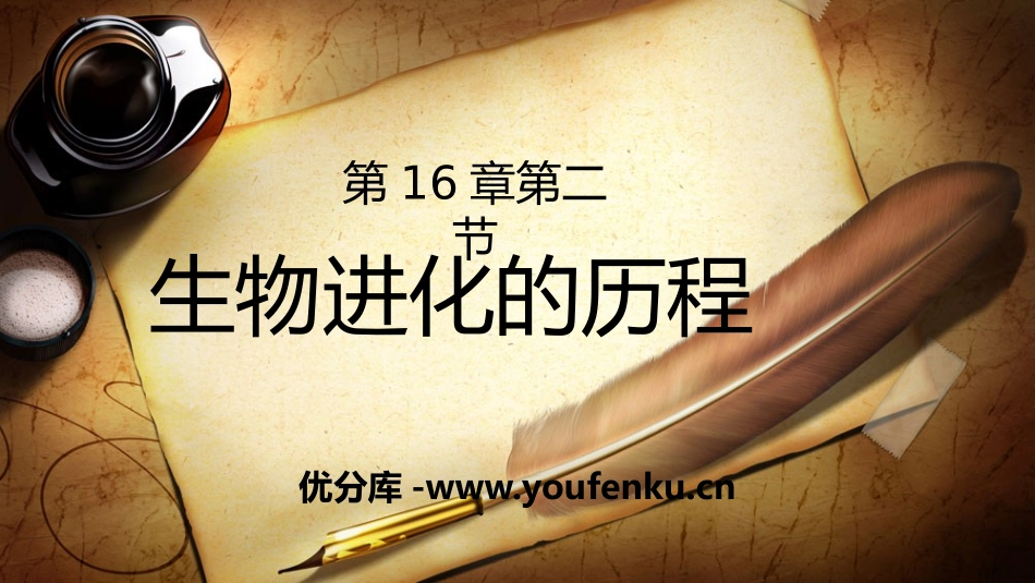 《生物进化的历程》PPT教学课件[苏教版八年级生物上册]_第1页