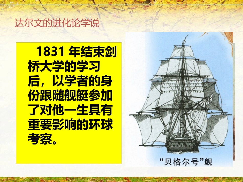 《生物进化的学说》PPT课件[苏教版八年级生物上册]_第3页