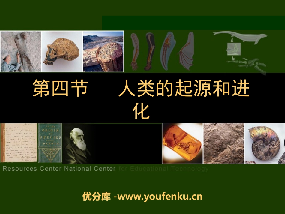 《人类的起源和进化》PPT优质课件[苏教版八年级生物上册]_第1页