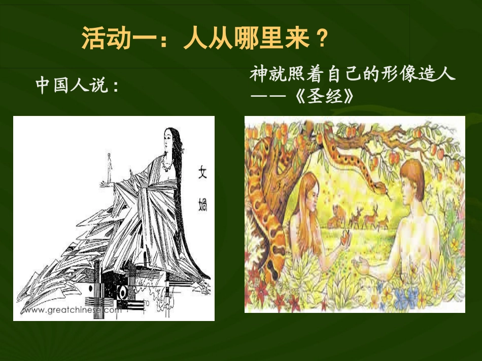 《人类的起源和进化》PPT优质课件[苏教版八年级生物上册]_第2页