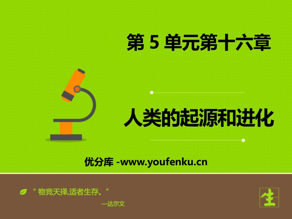 《人类的起源和进化》PPT优秀课件[苏教版八年级生物上册]_第1页