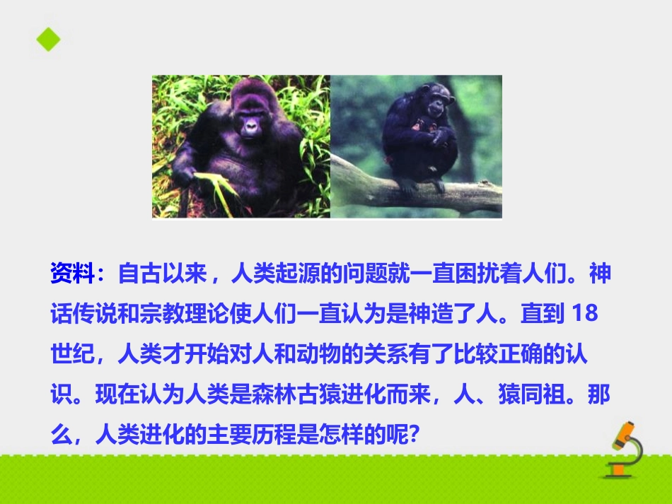 《人类的起源和进化》PPT优秀课件[苏教版八年级生物上册]_第2页