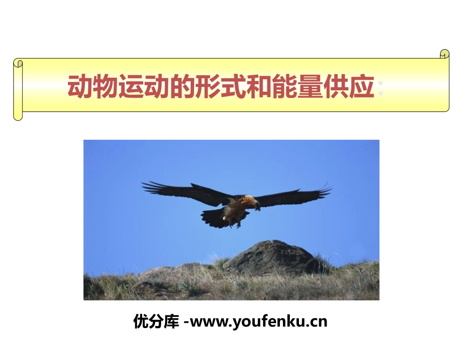 《动物运动的形式和能量供应》PPT课件[苏教版八年级生物]_第1页