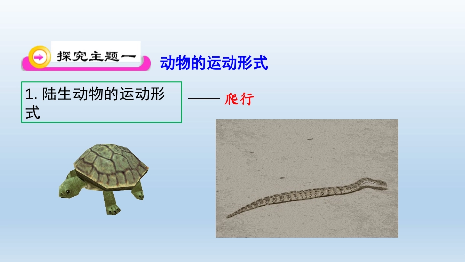 《动物运动的形式和能量供应》PPT教学课件[苏教版八年级生物]_第3页