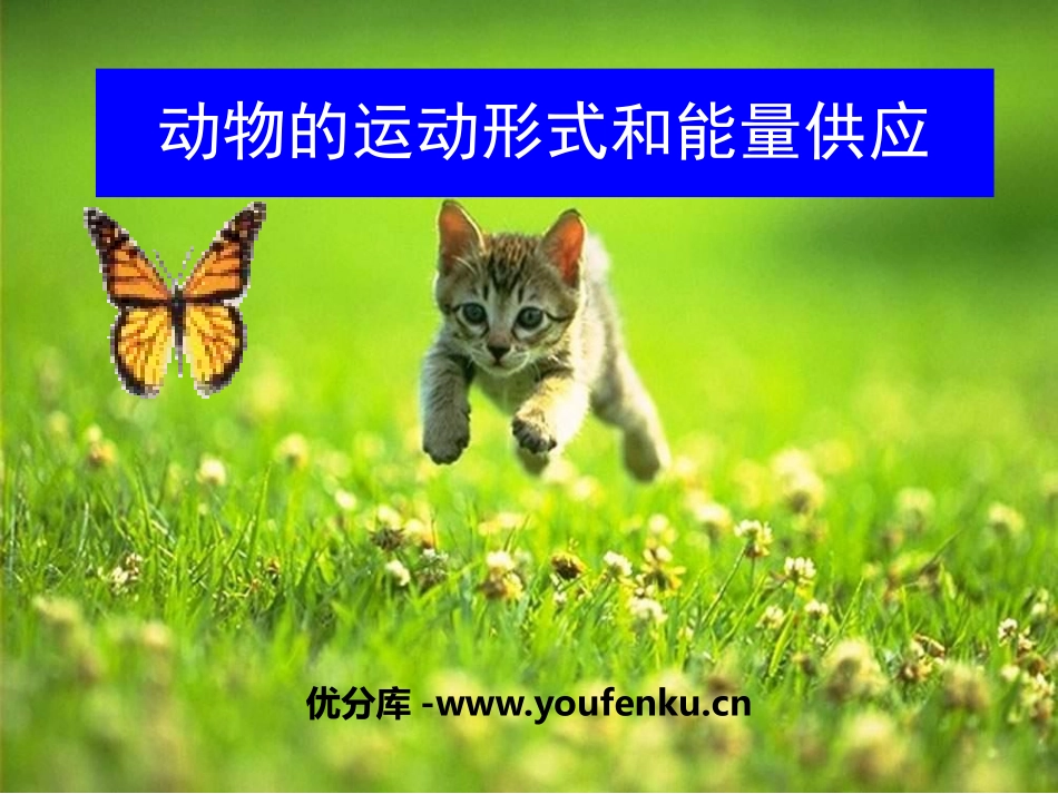 《动物运动的形式和能量供应》PPT课件[苏教版八年级生物]_第1页