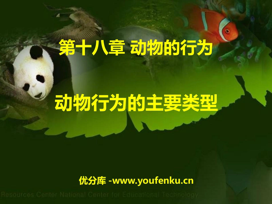 《动物行为的主要类型》PPT教学课件[苏教版八年级生物上册]_第1页