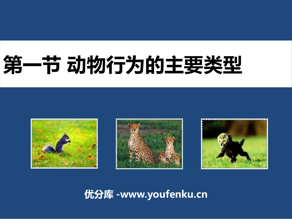 《动物行为的主要类型》PPT课件[苏教版八年级生物上册]_第1页