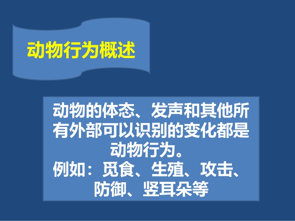 《动物行为的主要类型》PPT课件[苏教版八年级生物上册]_第2页