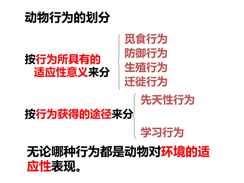 《动物行为的生理基础》PPT教学课件[苏教版八年级生物上册]_第3页