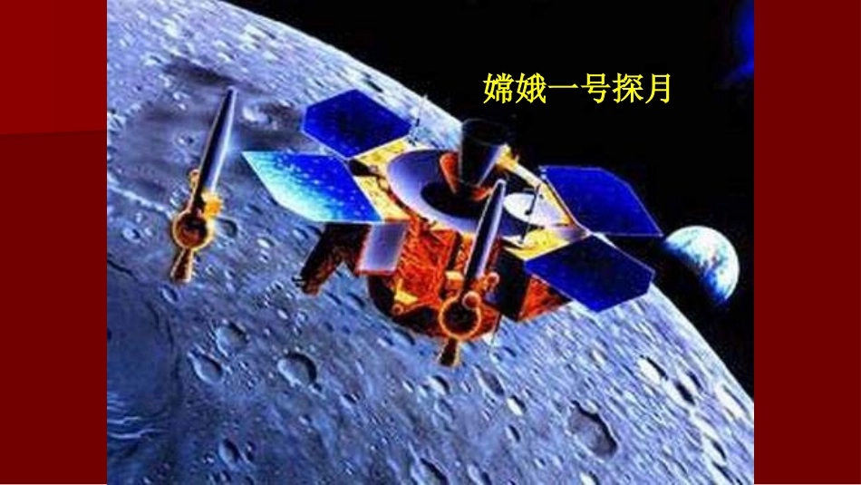 《生物圈是生物的共同家园》PPT课件[苏教版八年级生物上册]_第3页