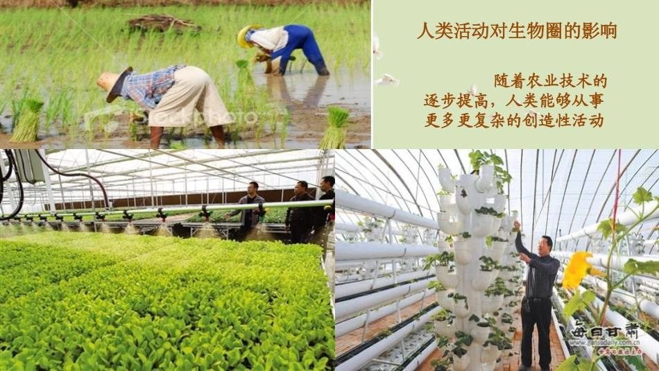 《生物圈是生物的共同家园》PPT教学课件[苏教版八年级生物]_第3页