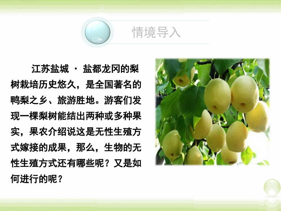《生物的无性生殖》PPT课件[苏教版八年级生物下册]_第2页