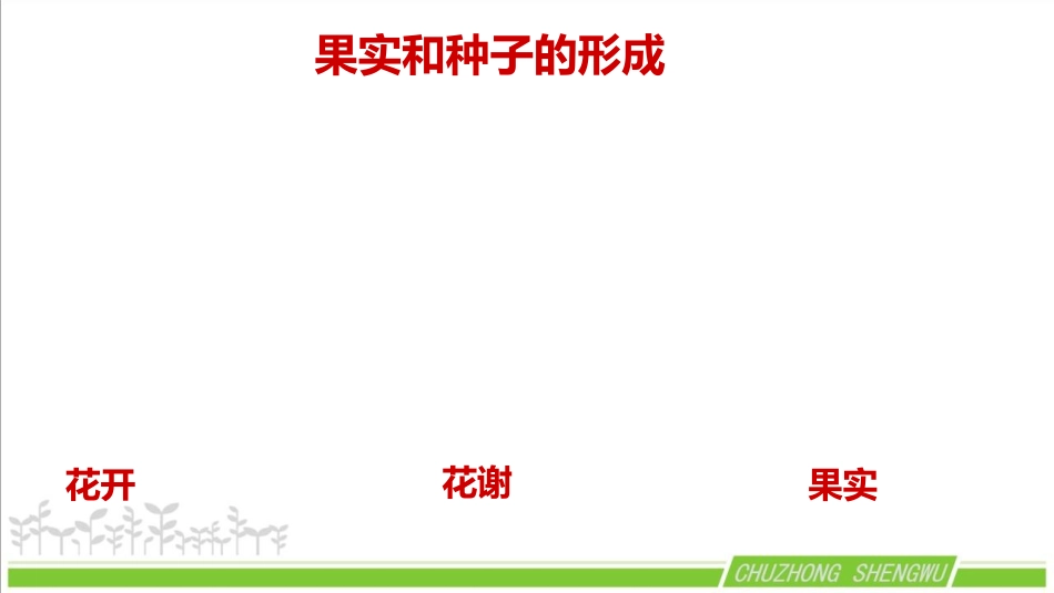 《植物的有性生殖》PPT优质课件[苏教版八年级生物下册]_第2页