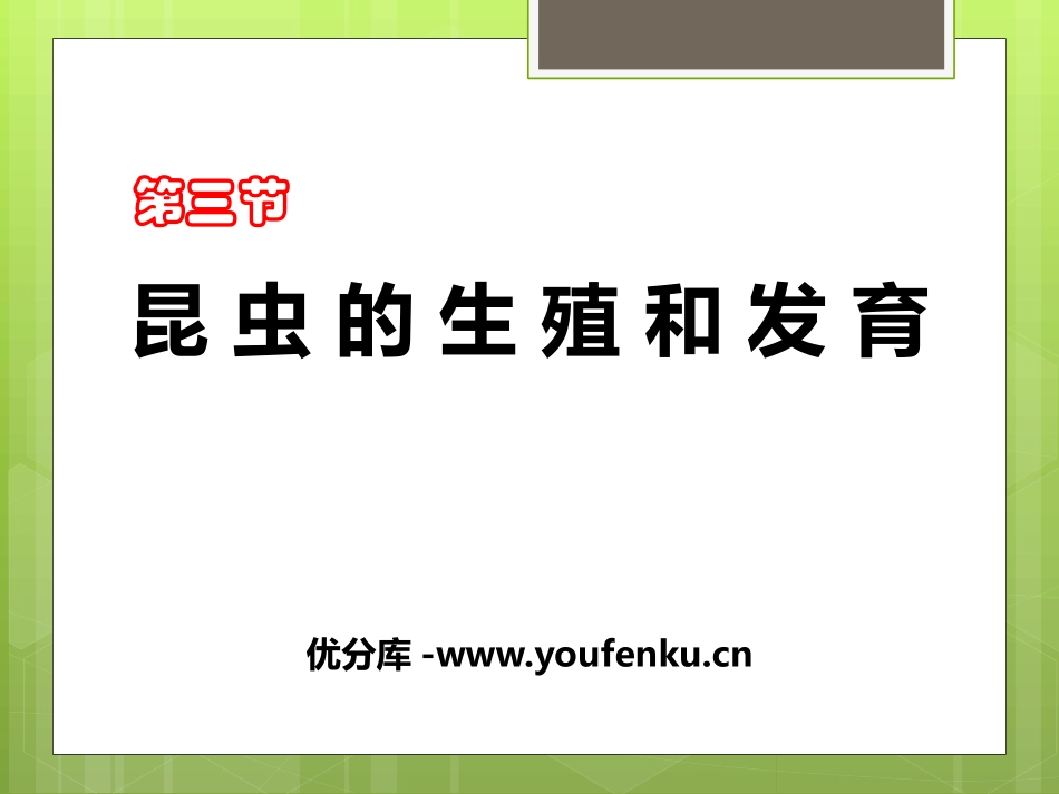 《昆虫的生殖与发育》PPT教学课件[苏教版八年级生物下册]_第1页