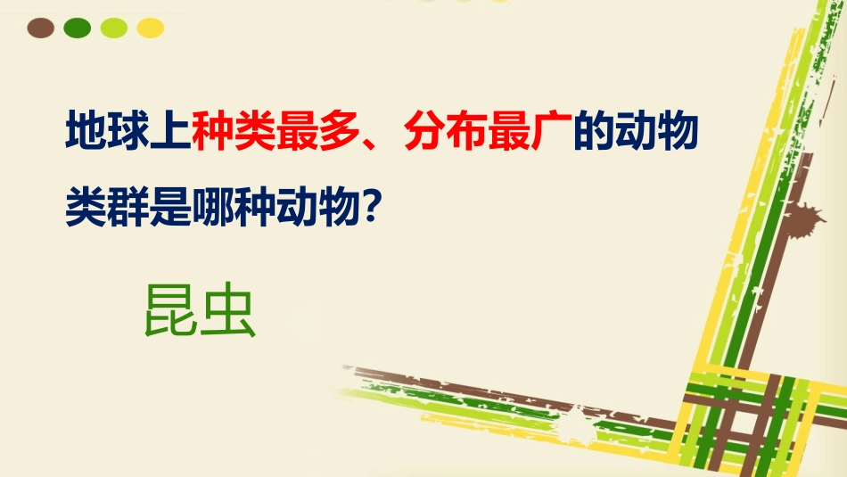 《昆虫的生殖与发育》PPT免费课件[苏教版八年级生物下册]_第1页