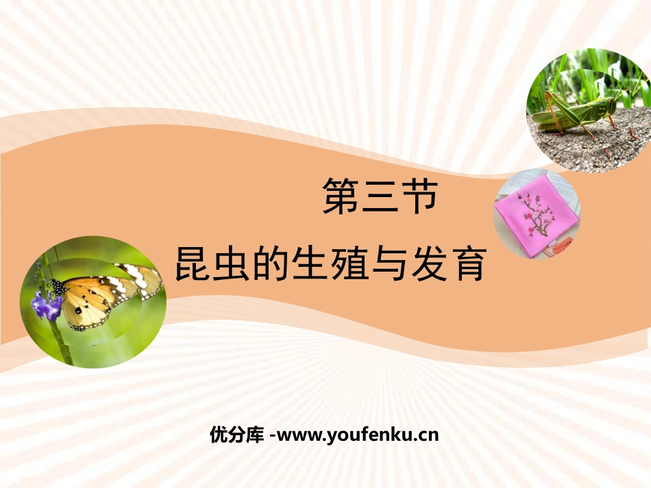 《昆虫的生殖与发育》PPT优质课件[苏教版八年级生物下册]_第1页