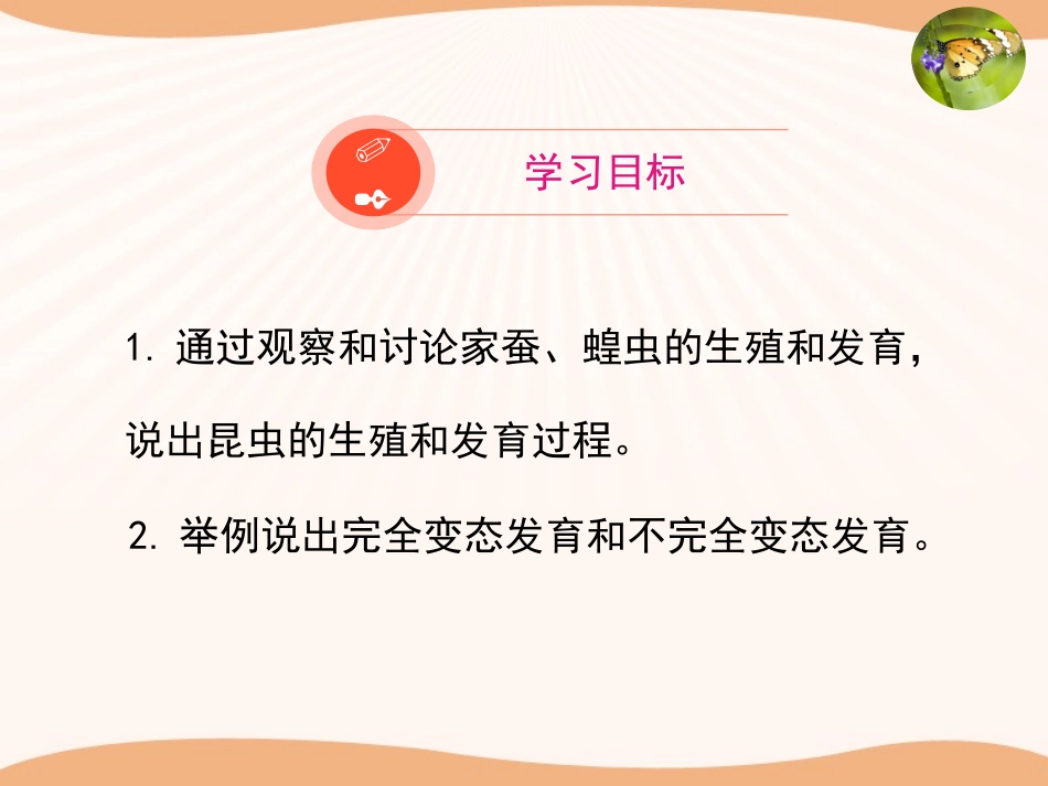 《昆虫的生殖与发育》PPT优质课件[苏教版八年级生物下册]_第3页