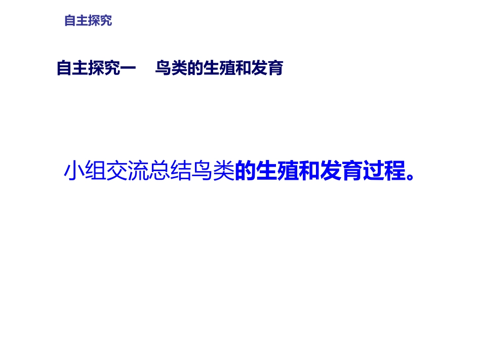 《鸟类的生殖与发育》PPT课件[苏教版八年级生物下册]_第3页