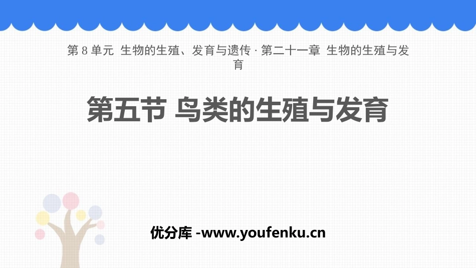 《鸟类的生殖与发育》PPT免费课件[苏教版八年级生物下册]_第1页