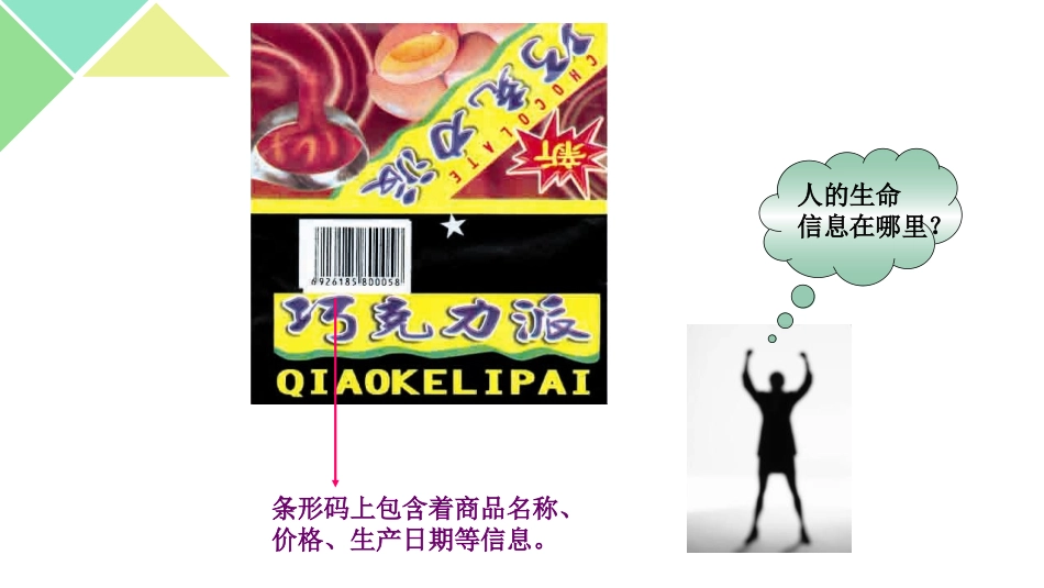 《DNA是主要的遗传物质》PPT课件[苏教版八年级生物下册]_第3页