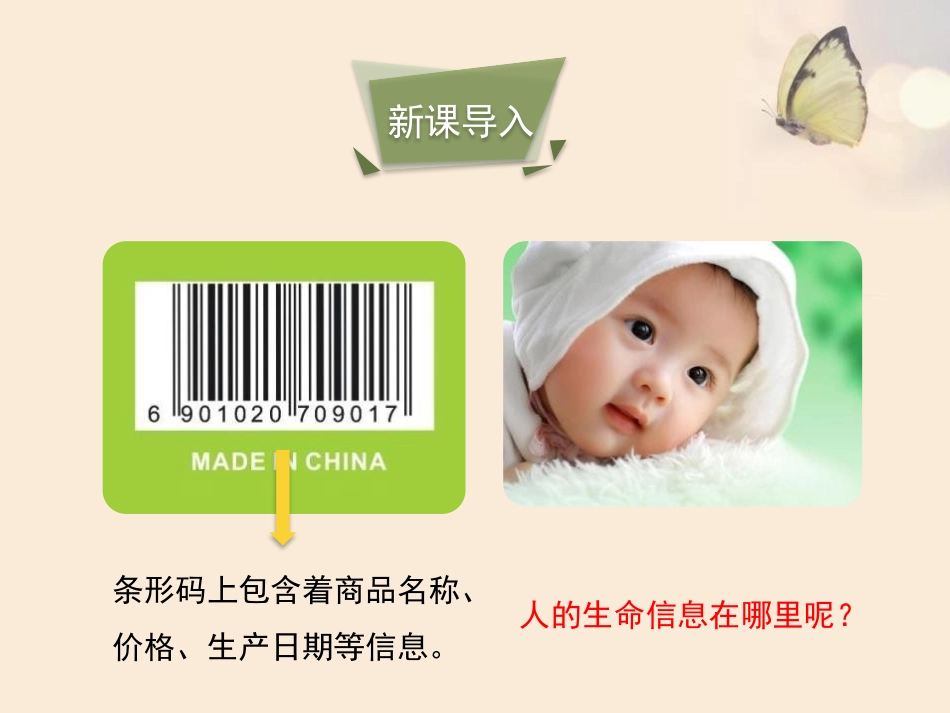 《DNA是主要的遗传物质》PPT教学课件[苏教版八年级生物]_第3页