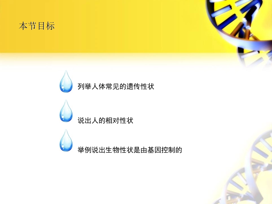 《人的性状和遗传》PPT教学课件[苏教版八年级生物下册]_第3页