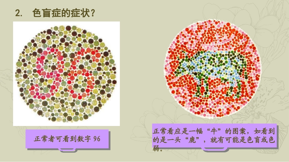 《遗传病和优生优育》PPT课件[苏教版八年级生物下册]_第3页