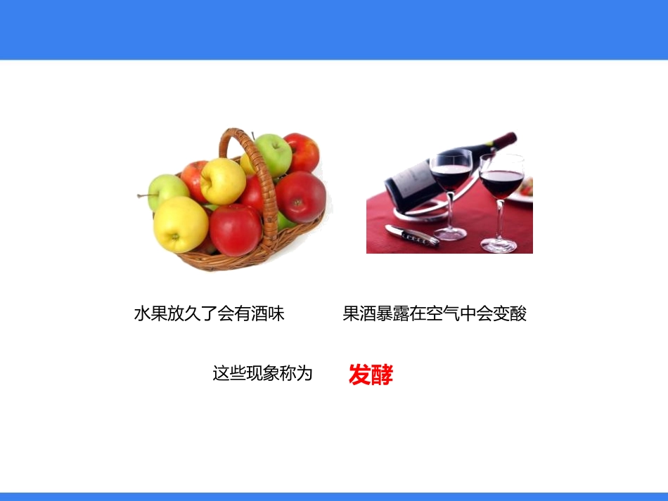 《源远流长的发酵技术》PPT教学课件[苏教版八年级生物下册]_第2页