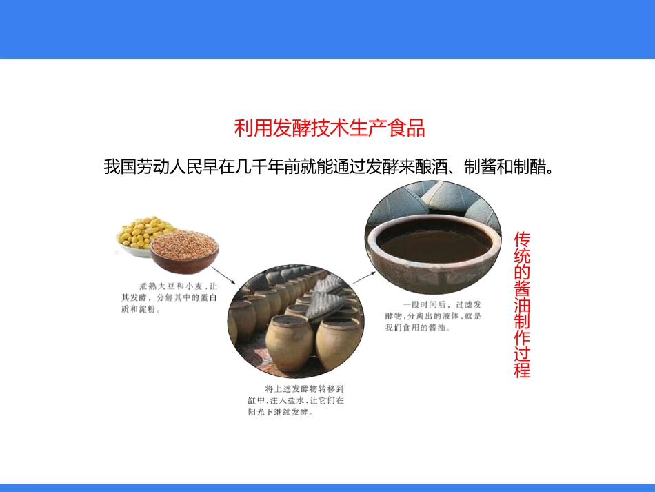 《源远流长的发酵技术》PPT教学课件[苏教版八年级生物下册]_第3页