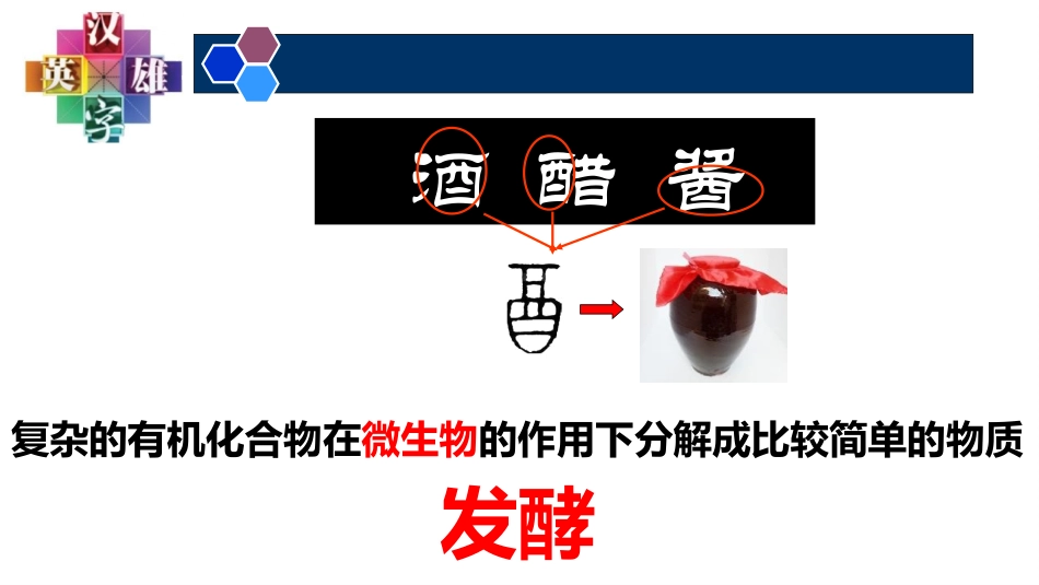 《源远流长的发酵技术》PPT课件[苏教版八年级生物下册]_第2页