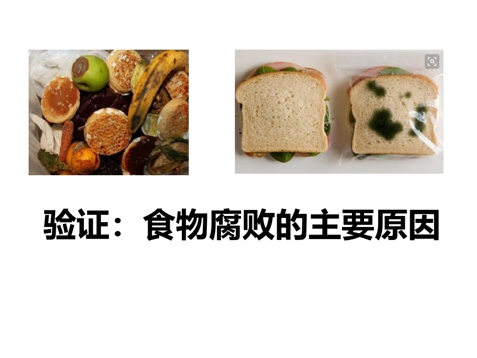 《食品保存》PPT教学课件[苏教版八年级生物下册]_第2页
