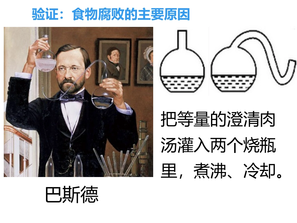《食品保存》PPT教学课件[苏教版八年级生物下册]_第3页