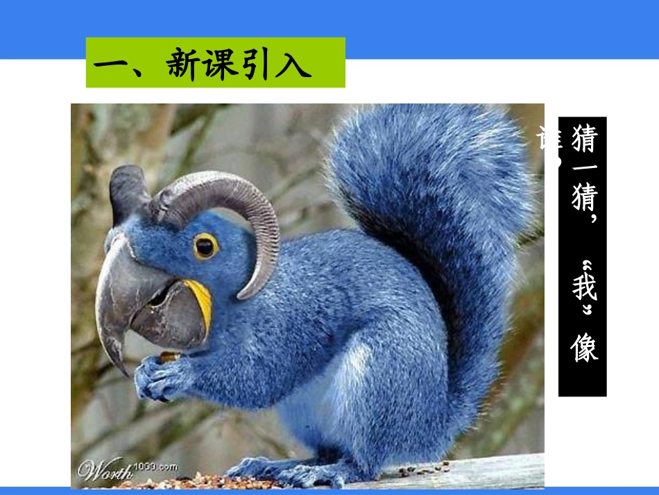 《现代生物技术的应用》PPT课件[苏教版八年级生物下册]_第2页