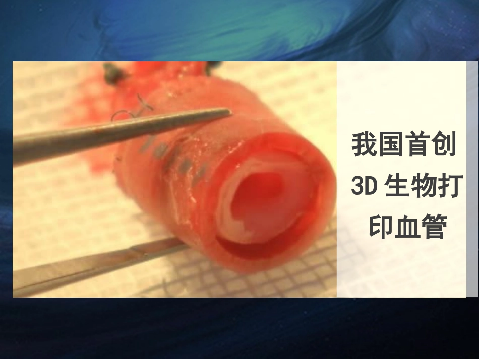 《关注生物技术》PPT课件[苏教版八年级生物下册]_第2页