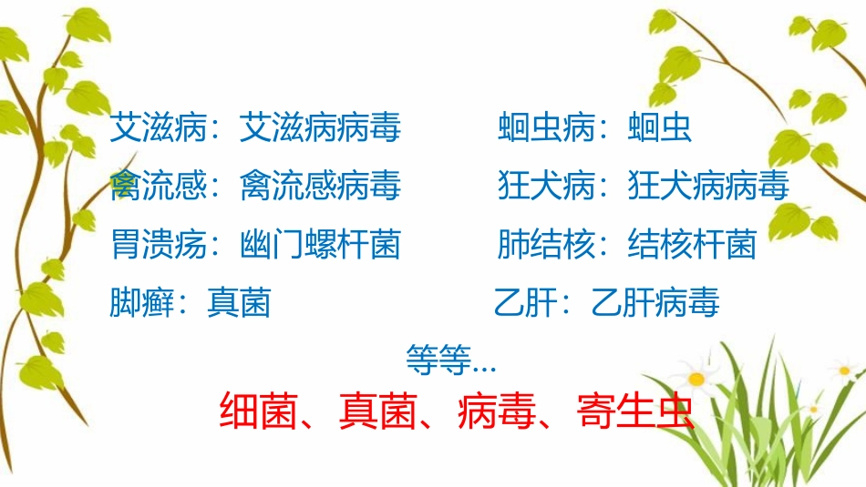 《传染病》PPT教学课件[苏教版八年级生物下册]_第3页