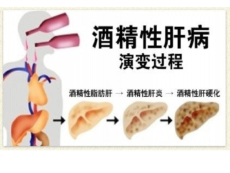 《远离烟酒》PPT课件[苏教版八年级生物下册]_第3页