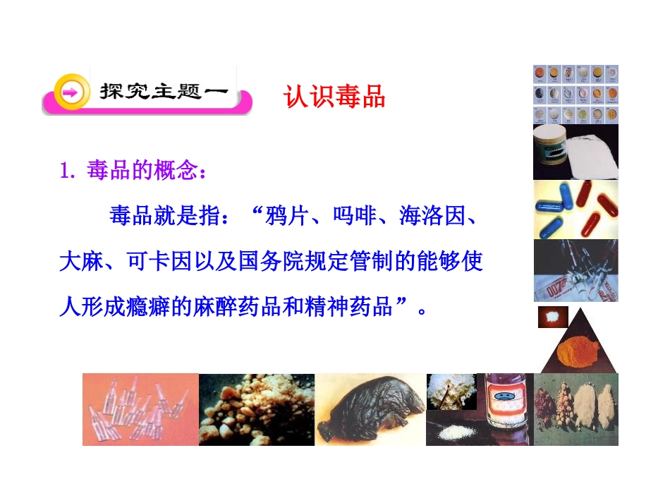《拒绝毒品》PPT教学课件[苏教版八年级生物下册]_第3页