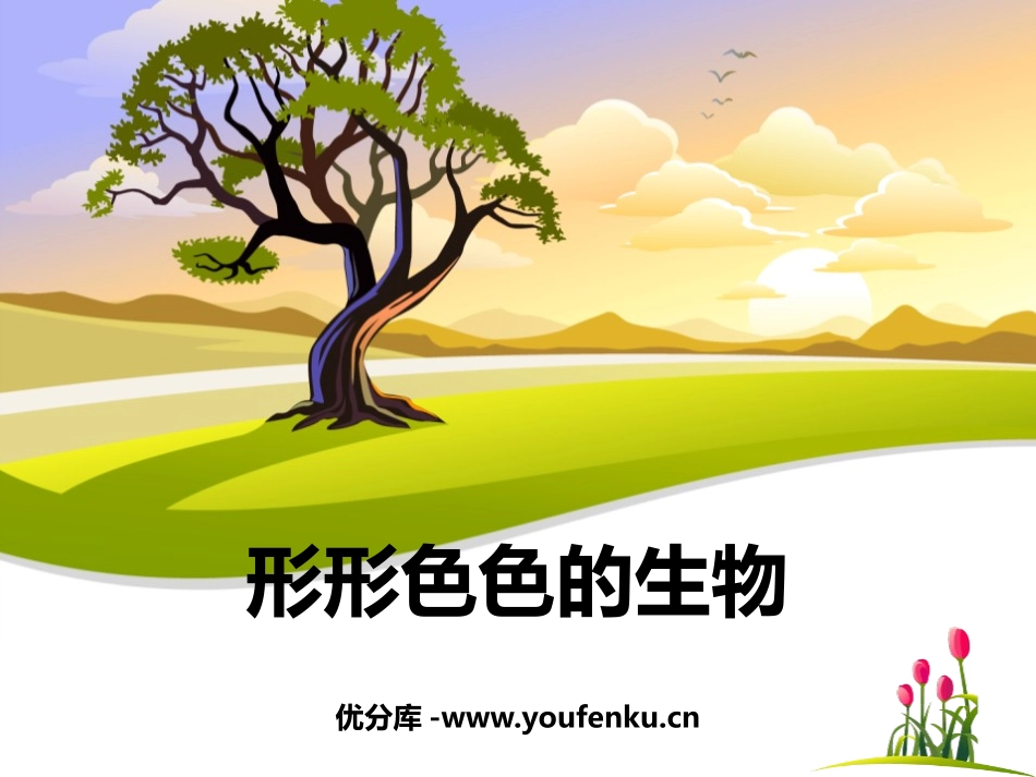 《形形色色的生物》PPT课件[北师大版七年级生物上册]_第1页