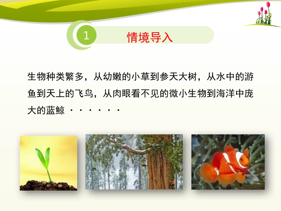 《形形色色的生物》PPT课件[北师大版七年级生物上册]_第2页