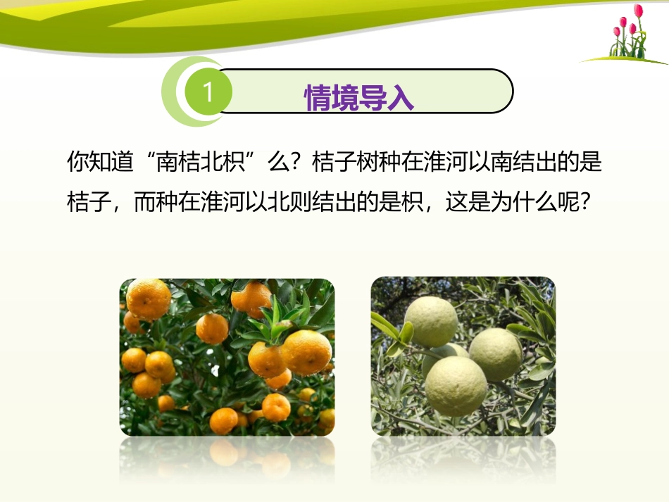 《生物与环境的相互影响》PPT免费课件[北师大版七年级生物]_第2页