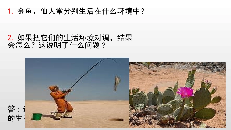 《生物与环境的相互影响》PPT优质课件[北师大版七年级生物]_第2页