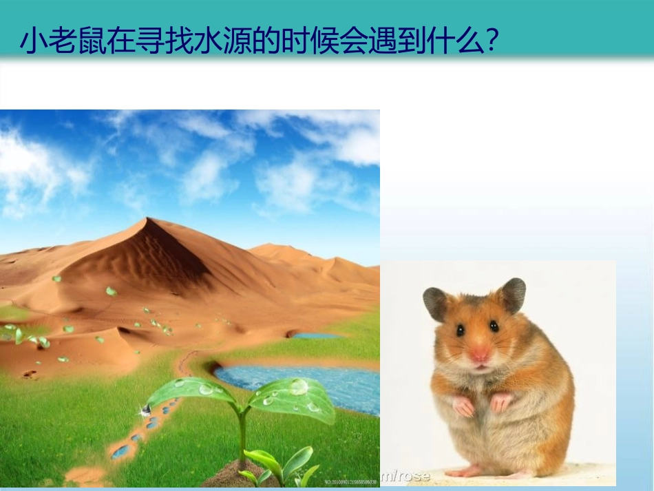 《生物学研究的基本方法》PPT免费课件[北师大版七年级生物]_第3页