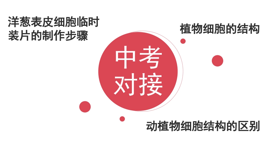 《细胞的基本结构和功能》PPT教学课件[北师大版七年级生物]_第3页