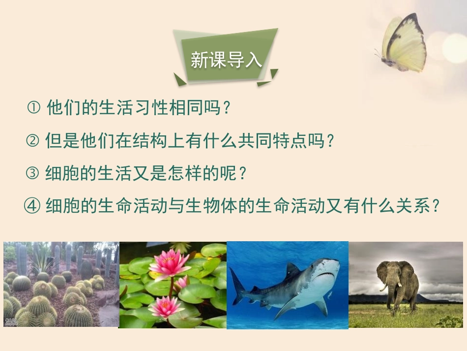 《细胞是生命活动的单位》PPT课件[北师大版七年级生物上册]_第3页